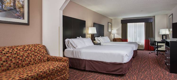 智选假日套房酒店墨菲(Holiday Inn Express & Suites Murphy)图片