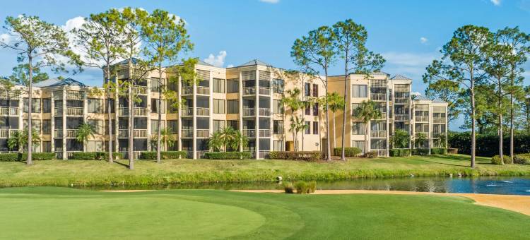 皇家棕榈树万豪酒店(Marriott's Royal Palms)图片