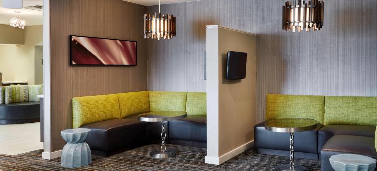 底特律皮蒂亚克奥本山Residence Inn 酒店(Residence Inn Detroit Pontiac/Auburn Hills)图片