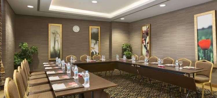 伊兹米特温德姆华美达广场酒店(Ramada Plaza by Wyndham Izmit)图片