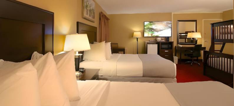 克拉丽奥精选(Clarion Pointe)图片