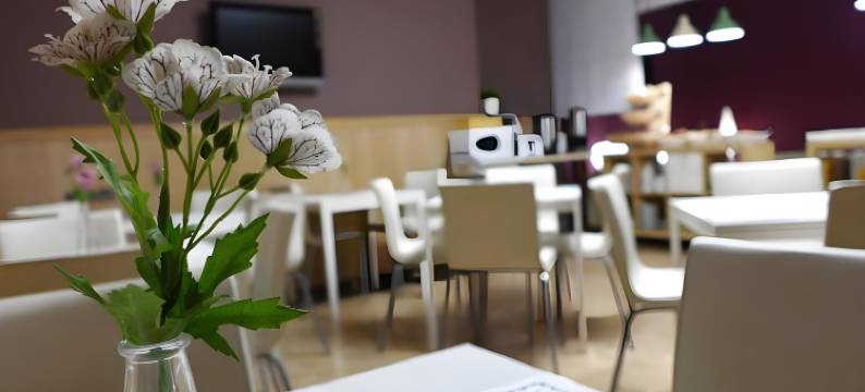 里奥阿尔加中心酒店(Hotel Rio Arga)图片