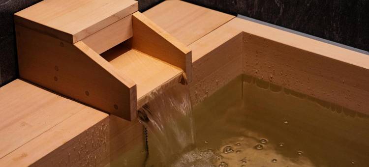 白井屋酒店(Shiroiya Hotel)图片