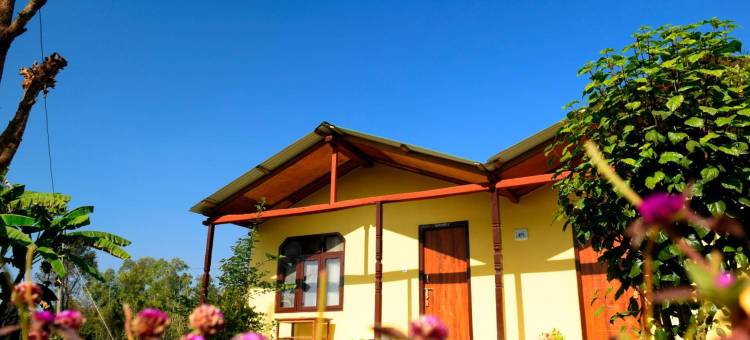 大自然野生动物园小屋(Nature Safari Resort)图片