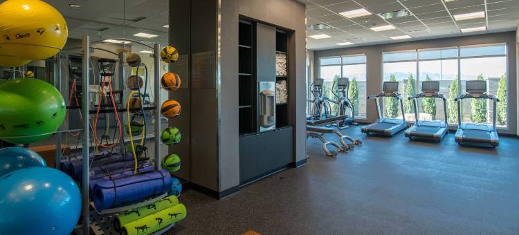 普罗沃奥勒姆万枫套房酒店(Fairfield Inn & Suites Provo Orem)图片
