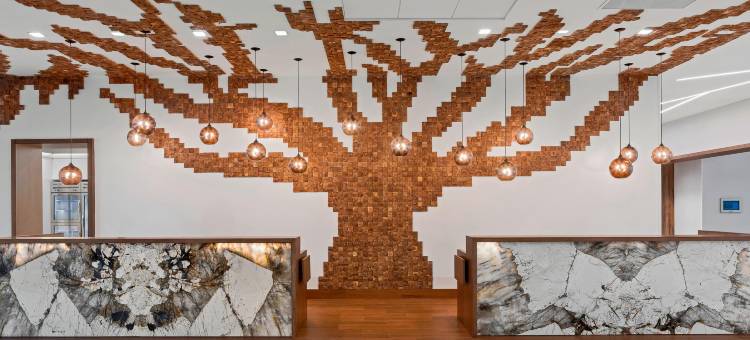 格林维尔市区万豪SpringHill Suites酒店(SpringHill Suites Greenville Downtown)图片