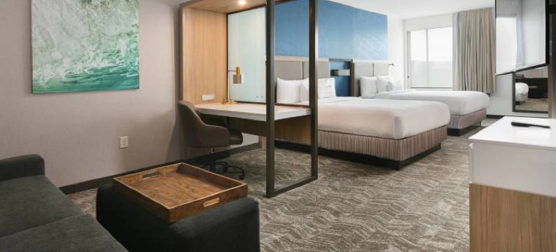 达拉斯DFW机场南中心港万豪SpringHill Suites酒店(SpringHill Suites Dallas DFW Airport South/CentrePort)图片