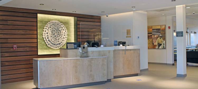 圣路易斯南万枫酒店及套房(Fairfield Inn & Suites St. Louis South)图片