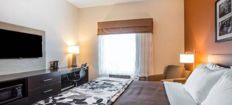 舒眠酒店-卡特尔斯维尔艾默生湖点(Sleep Inn Cartersville)图片