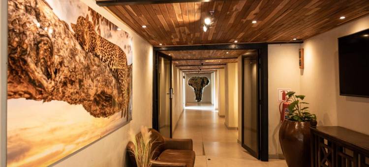 巧比河滨旅馆(Chobe River Lodge)图片