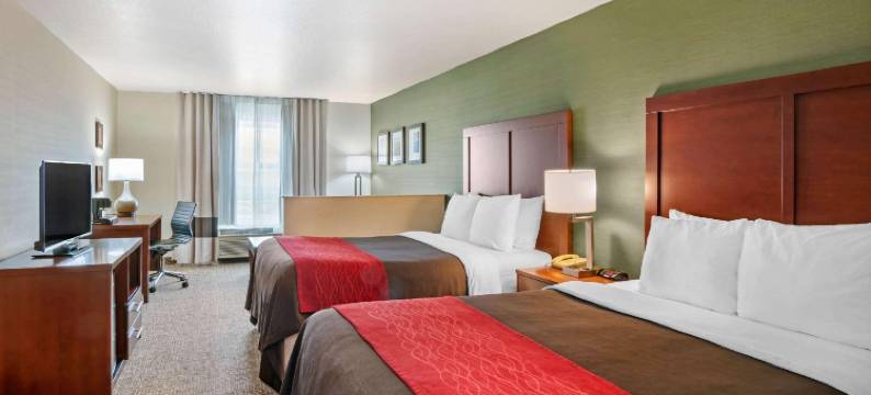 舒适套房酒店(Comfort Inn & Suites Salem)图片