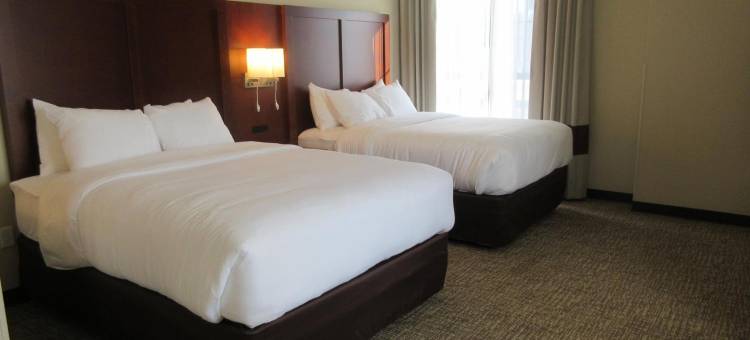 凯艺酒店(Comfort Suites)图片