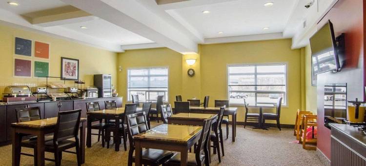 舒适酒店(Comfort Inn)图片