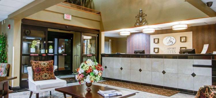 北区医院格威纳特舒适套房酒店(Comfort Suites Northside Hospital Gwinnett)图片