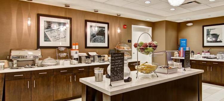 底特律特洛伊欢朋套房酒店(Hampton Inn & Suites Detroit/Troy)图片