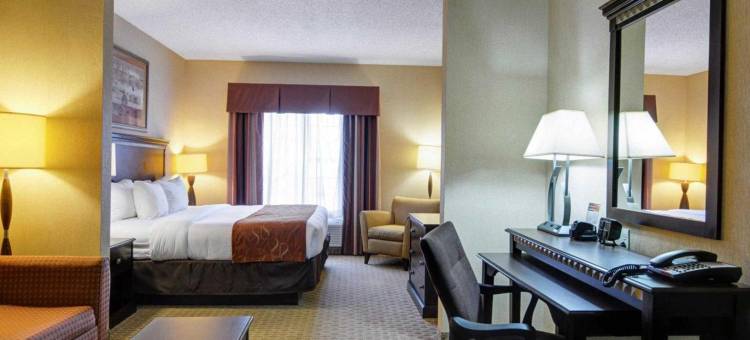 舒适套房酒店(Comfort Suites Conway)图片