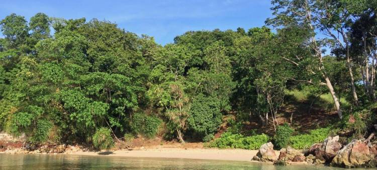 Nomad Divers Bangka图片