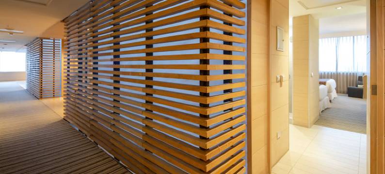 康塞普西翁佩特拉温德姆酒店(Wyndham Concepcion Pettra)图片