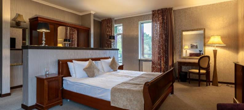 瑞皮诺阿兹姆公园 Spa 酒店(Azimut Park Hotel& Spa Repino)图片