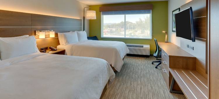 罗阿诺克市民中心智选假日套房酒店(Holiday Inn Express & Suites Roanoke – Civic Center)图片