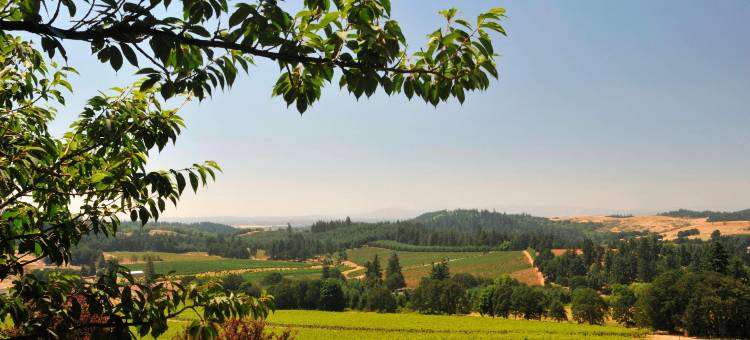 Residence Inn Portland South/Lake Oswego图片