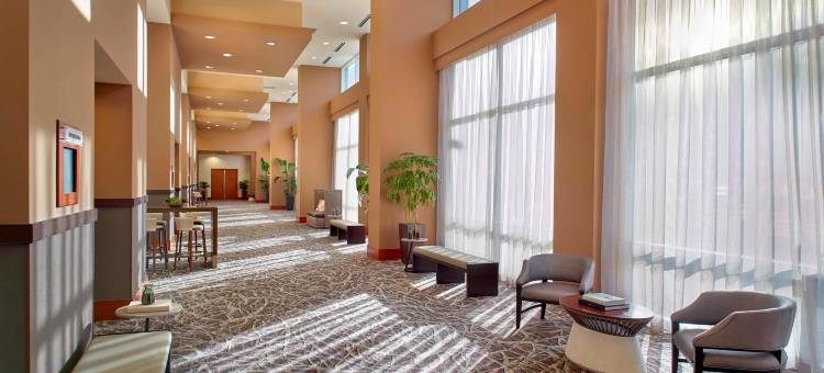 罗利市中心万豪酒店(Raleigh Marriott City Center)图片