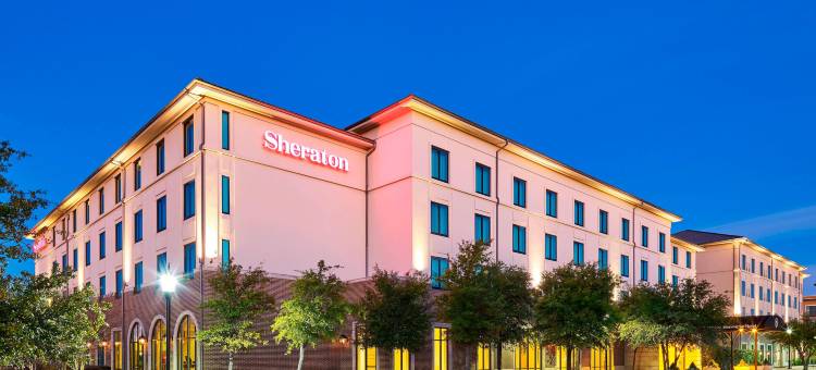 斯通布莱尔喜来登酒店(Sheraton Stonebriar Hotel)图片