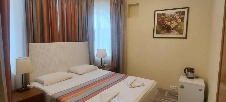Port Hotel Vnukovo图片
