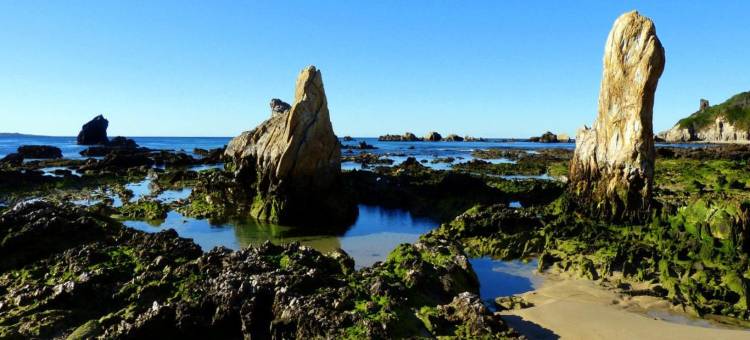 海岸舒适旅馆(Coastal Comfort Motel)图片