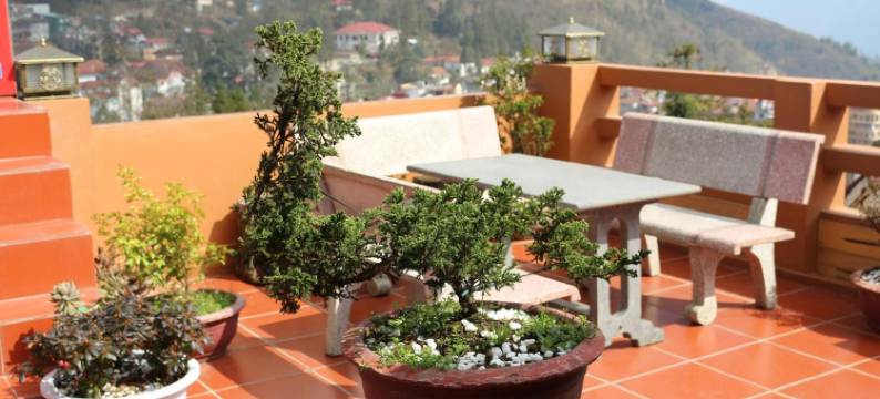 萨帕之龙酒店(Sapa Dragon Hotel)图片