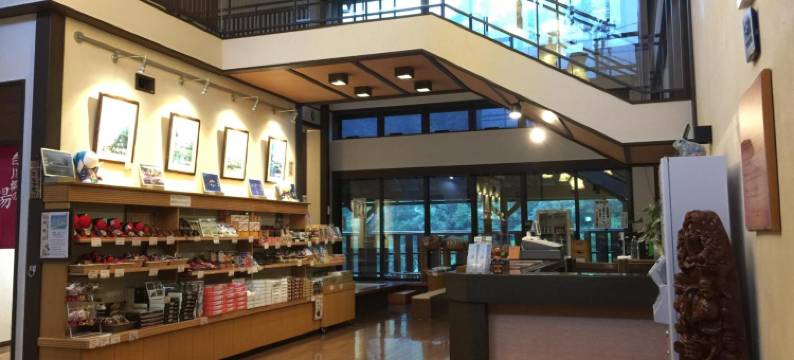 白川乡之汤(Shirakawago No Yu Hotel)图片