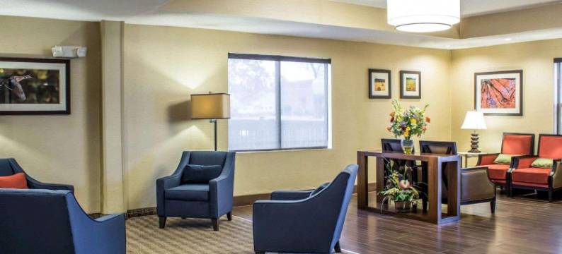 舒适酒店(Comfort Inn)图片