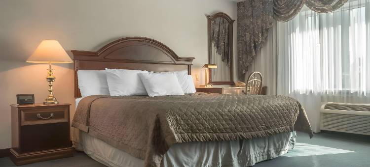 维法斯维罗德威酒店(Rodeway Inn Fallsview)图片