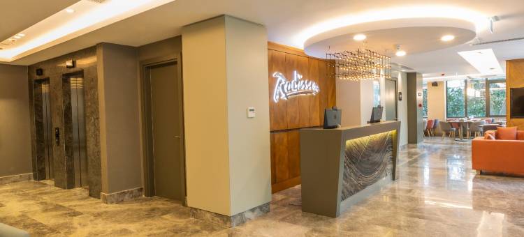 伊斯坦布尔哈比耶丽笙酒店(Radisson Hotel Istanbul Harbiye)图片