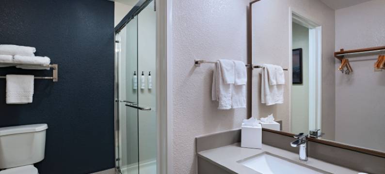 奥斯汀-大学区万枫酒店及套房(Fairfield Inn & Suites Austin-University Area)图片