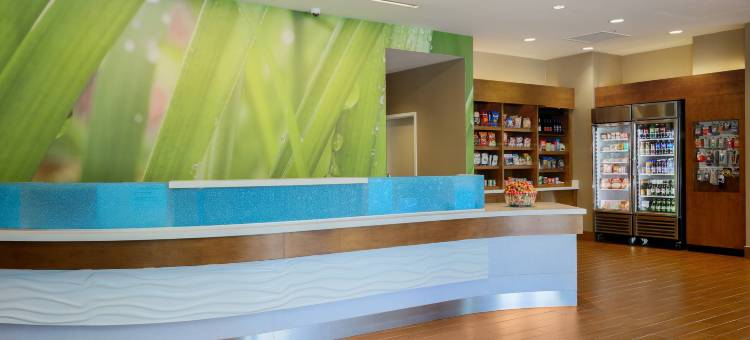 圣何塞机场SpringHill Suites酒店(SpringHill Suites San Jose Airport)图片