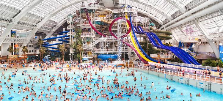 西埃德蒙顿福朋喜来登酒店(Four Points by Sheraton Edmonton West)图片