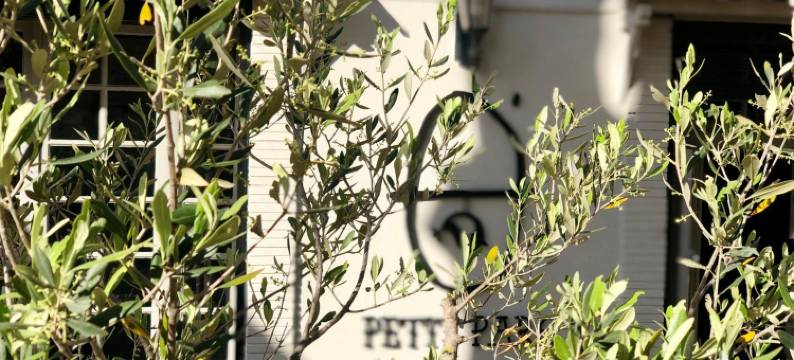 公园酒店(Hôtel du Parc)图片