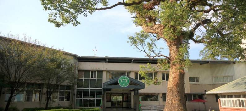 复兴青年活动中心图片