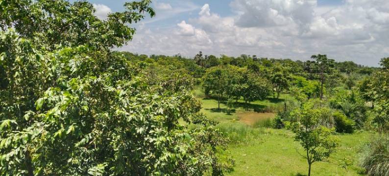 科怀村度假村(KHOAI VILLAGE RESORT)图片