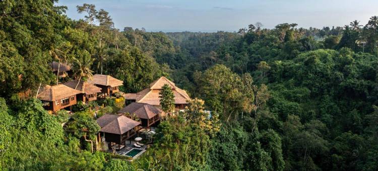 那图拉自然水疗度假酒店(Natura Villa Ubud Bali)图片