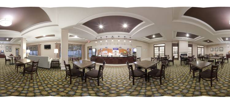 智选假日套房酒店帕拉特卡西北(Holiday Inn Express & Suites Palatka Northwest)图片