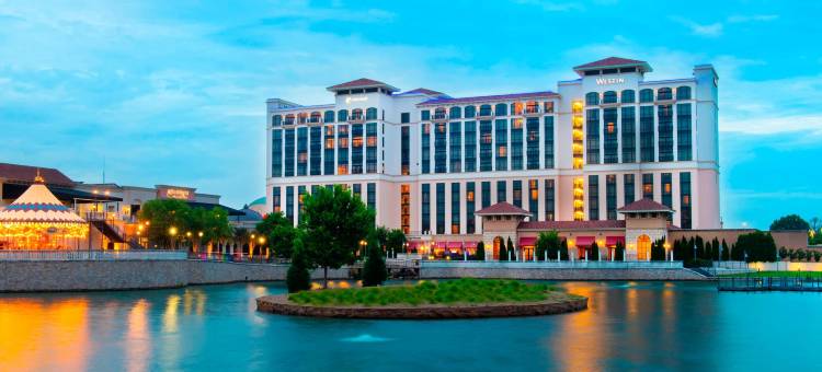 亨茨维尔威斯汀酒店(The Westin Huntsville)图片