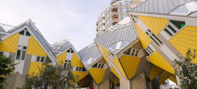 Sonder玫瑰酒店(Rose Hotel, Sonder)图片