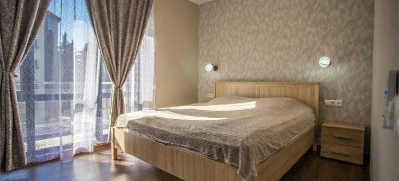 Vidnyi公寓酒店(Apartments Vidny)图片