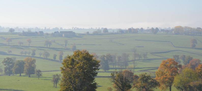 “莱蒂莱特”客栈(Maison d'hôtes - les Tillets)图片