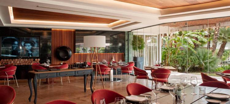 唐佩普盛美利亚酒店(Hotel Don Pepe Gran Meliá)图片