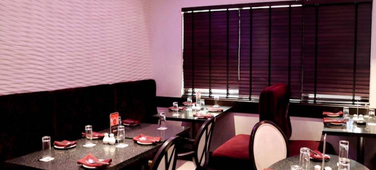 拉瓦萨肖海滨酒店(The Waterfront Shaw Lavasa)图片