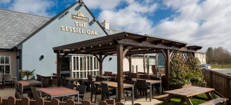 瑟斯里奥克 - 拉内利马斯顿旅馆(Sessile Oak, Llanelli by Marston's Inns)图片