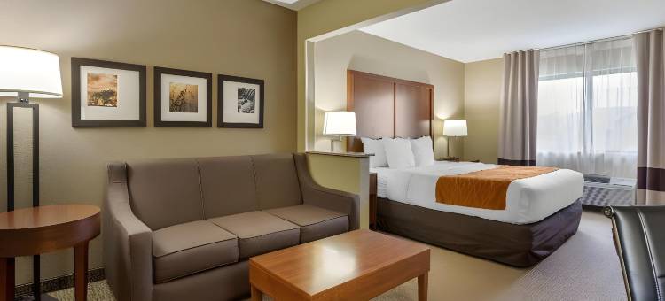 莫林-阔德城舒适酒店(Comfort Inn Moline - Quad Cities)图片